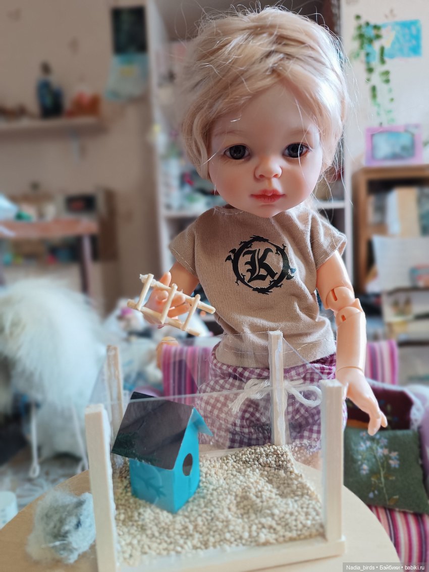 Как мы с Аришкой хомяков в дома селили))