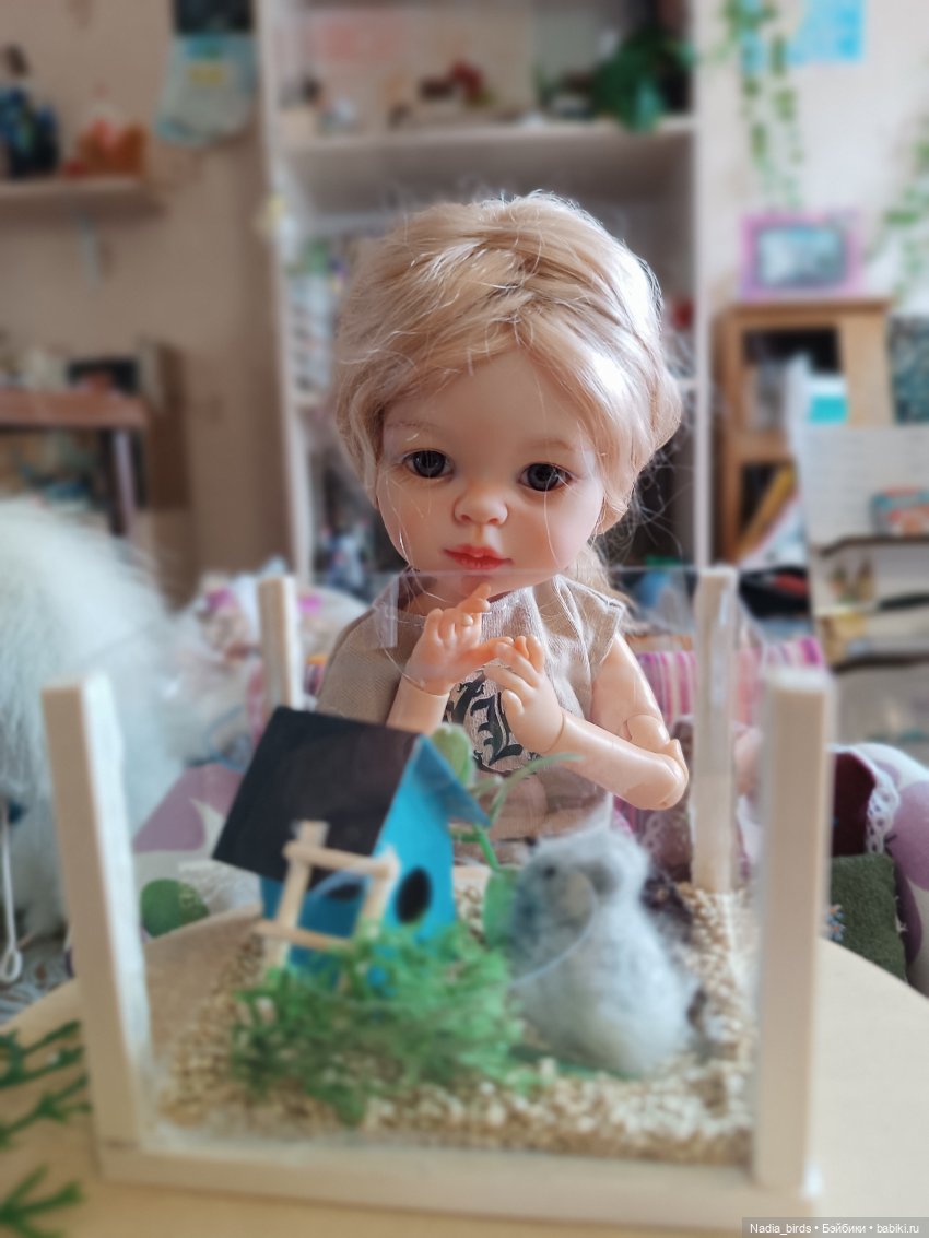 Как мы с Аришкой хомяков в дома селили))