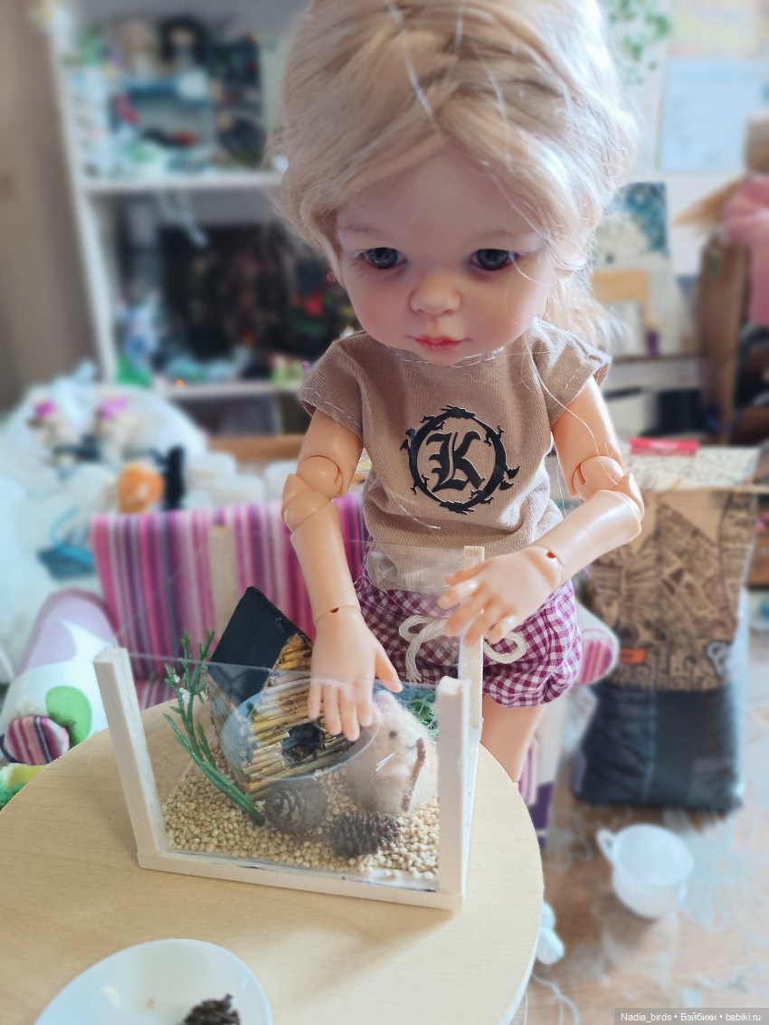 Как мы с Аришкой хомяков в дома селили)) (фото 8)