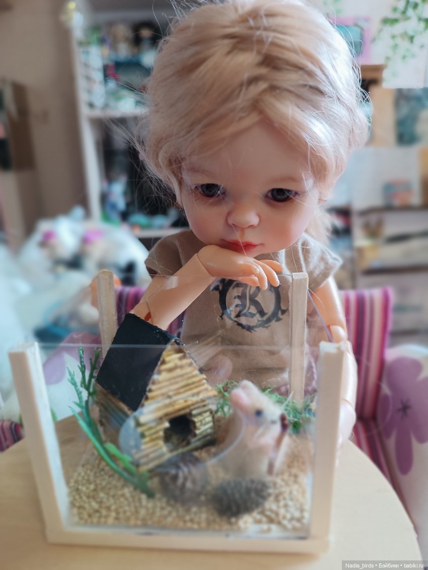 Как мы с Аришкой хомяков в дома селили)) (фото 9)