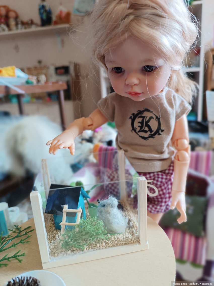 Как мы с Аришкой хомяков в дома селили))