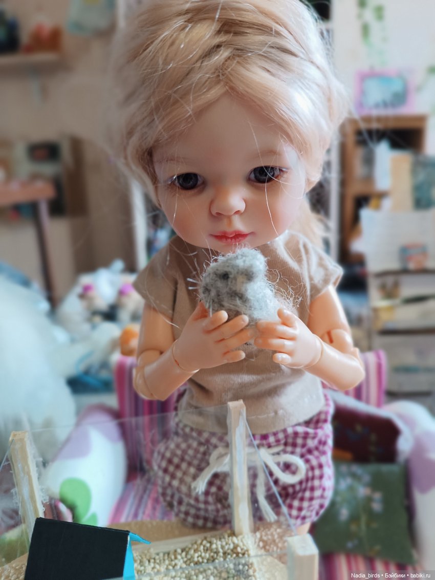 Как мы с Аришкой хомяков в дома селили))