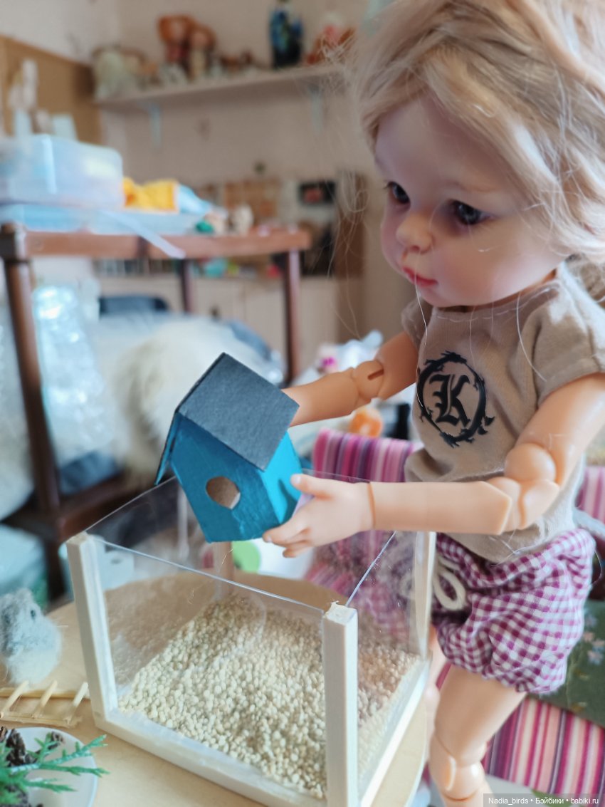 Как мы с Аришкой хомяков в дома селили))