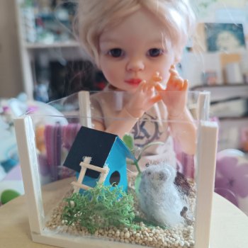 Как мы с Аришкой хомяков в дома селили))