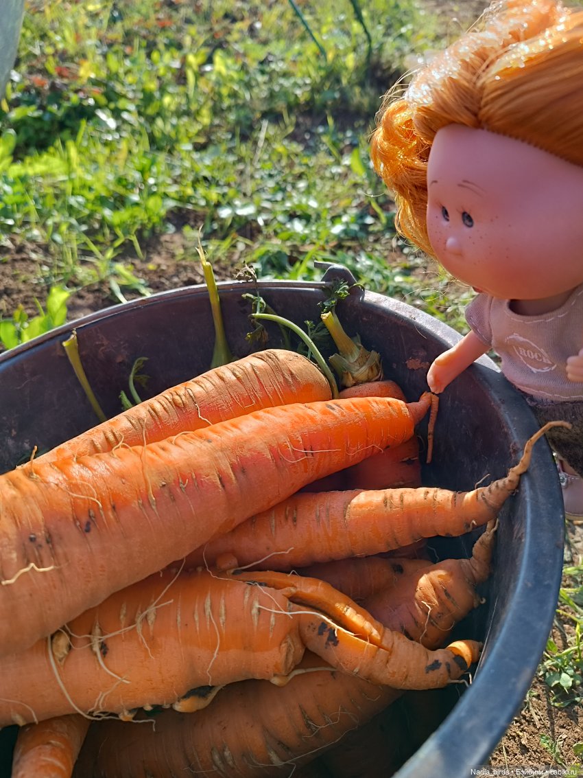 Манюня на даче — Куклы Nines d'Onil (Нинес): Миа (Mia) (фото 7)