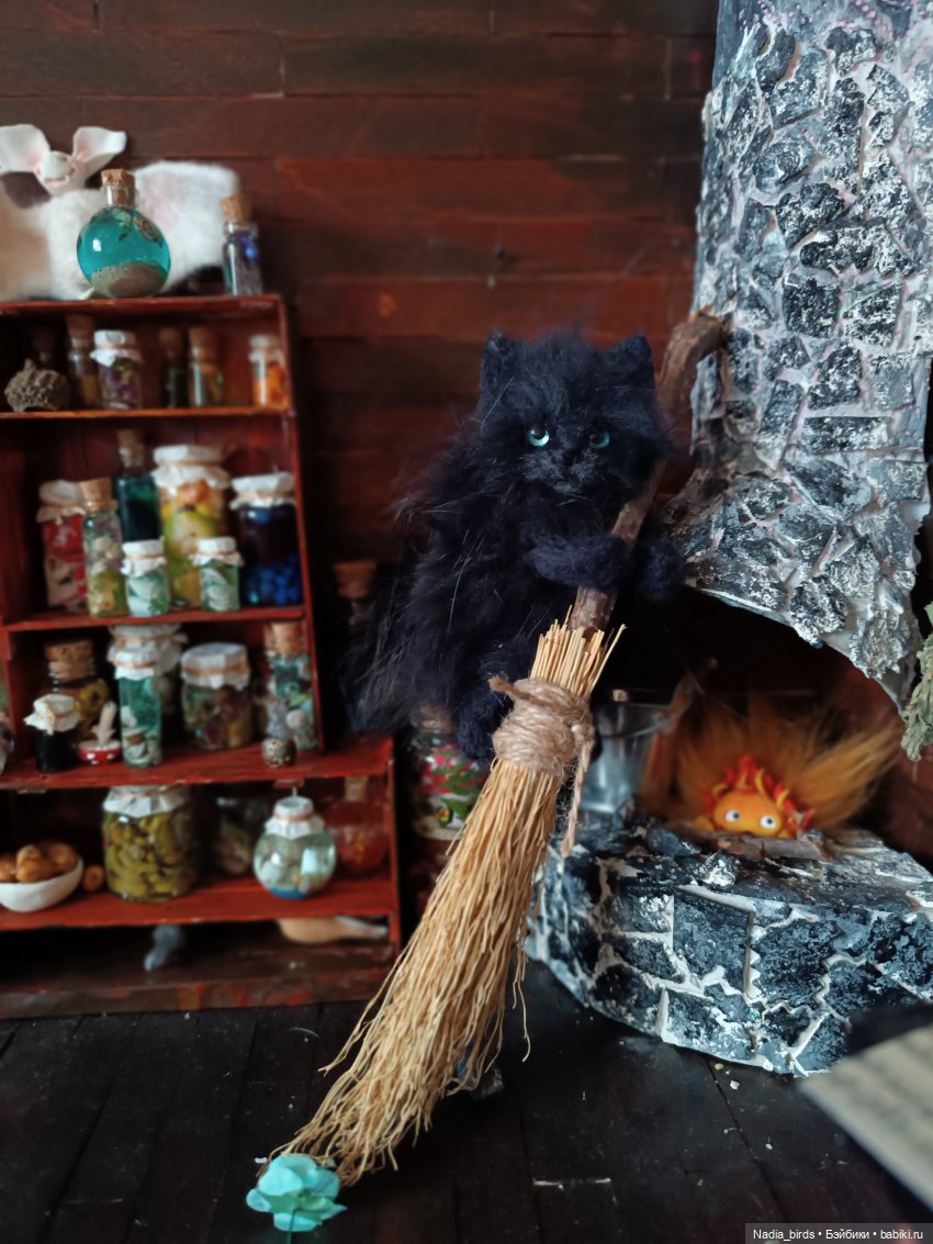 Самые чёрные из черных-ведьмокоты (фото 6)