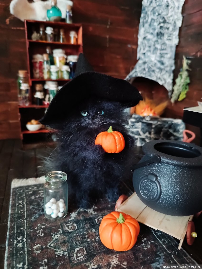Самые чёрные из черных-ведьмокоты (фото 5)