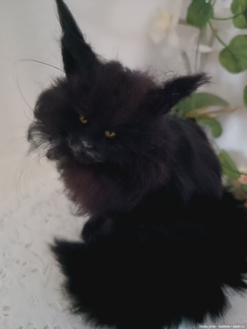 Самые чёрные из черных-ведьмокоты (фото 3)