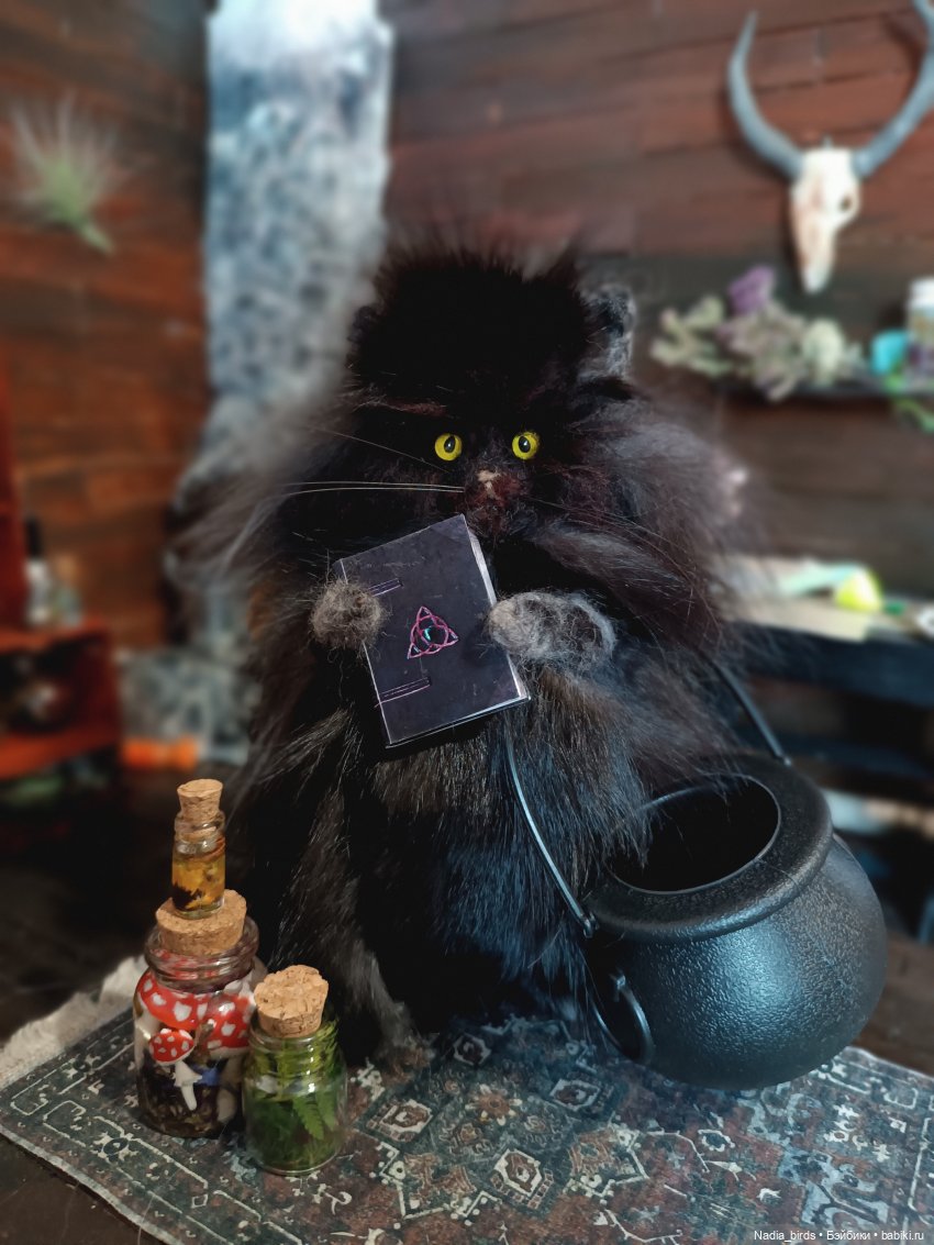 Самые чёрные из черных-ведьмокоты (фото 2)