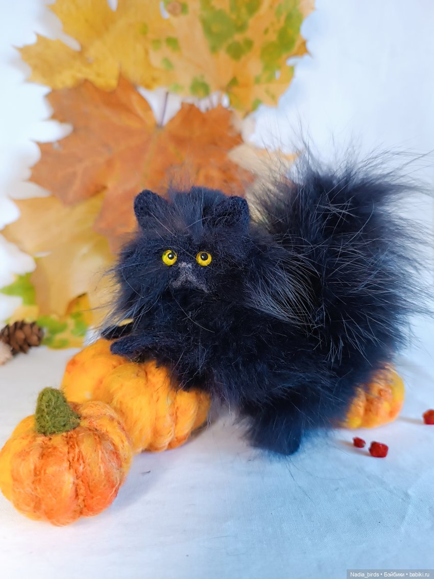 Самые чёрные из черных-ведьмокоты (фото 4)