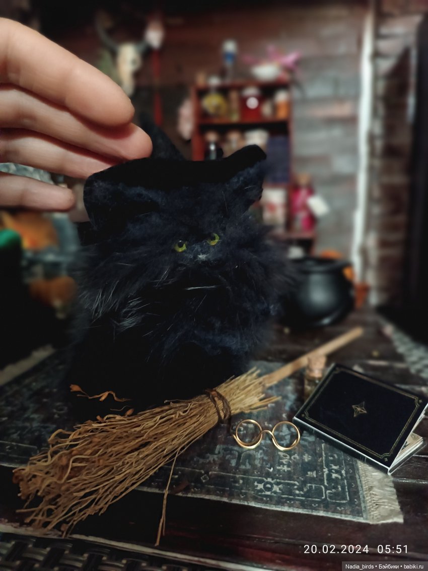 Самые чёрные из черных-ведьмокоты