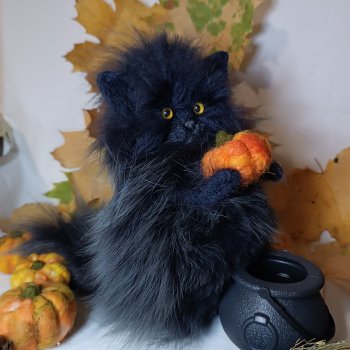 Самые чёрные из черных-ведьмокоты