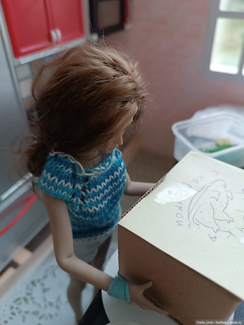 Благие намерения — Куклы Phicen (TBLeague/Фицен): бесшовные тела