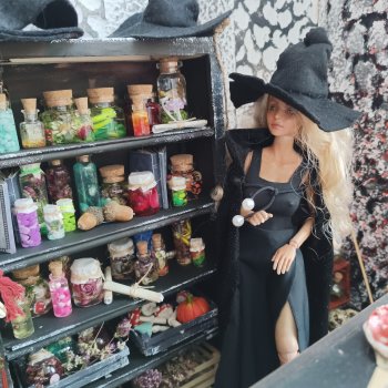 Ведьмолавка. Часть 1