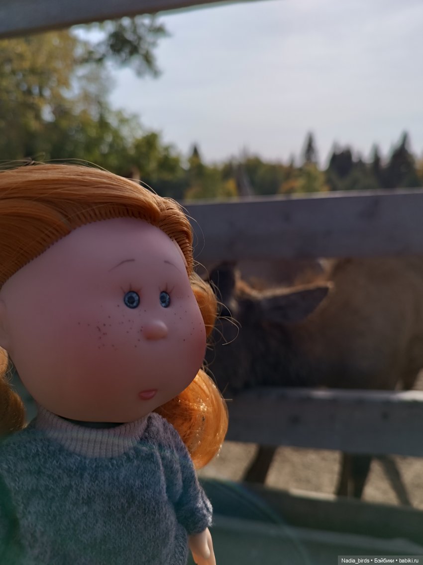 Манюня на оленеферме — Куклы Nines d'Onil (Нинес): Миа (Mia)