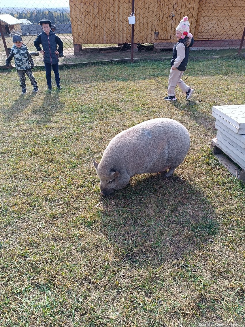 Манюня на оленеферме — Куклы Nines d'Onil (Нинес): Миа (Mia) (фото 6)