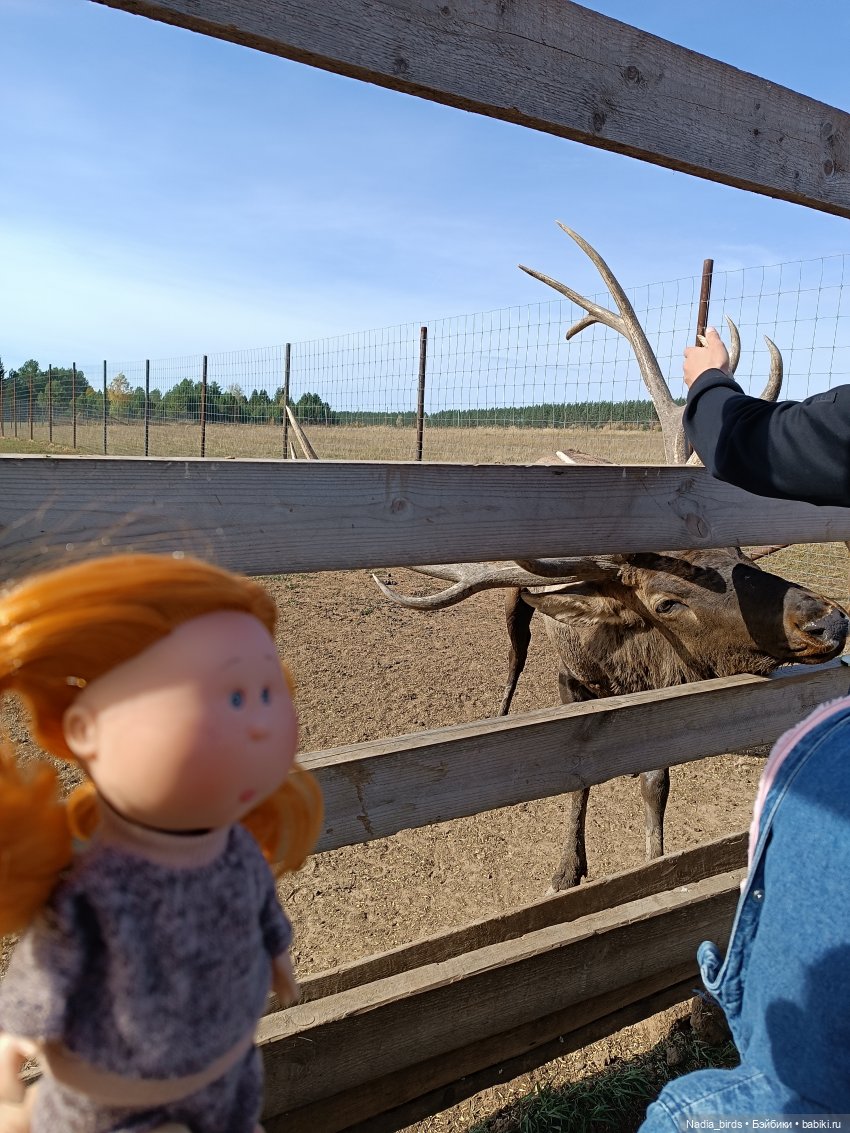 Манюня на оленеферме — Куклы Nines d'Onil (Нинес): Миа (Mia)