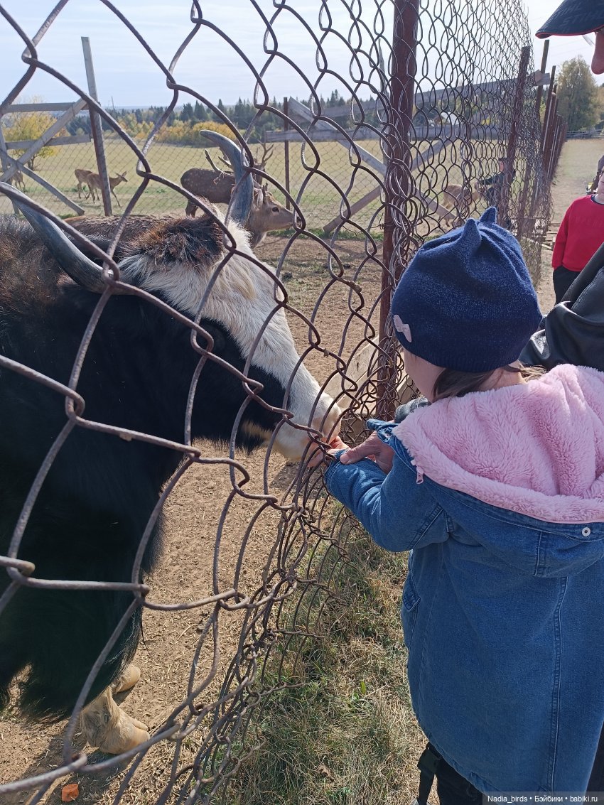 Манюня на оленеферме — Куклы Nines d'Onil (Нинес): Миа (Mia) (фото 8)