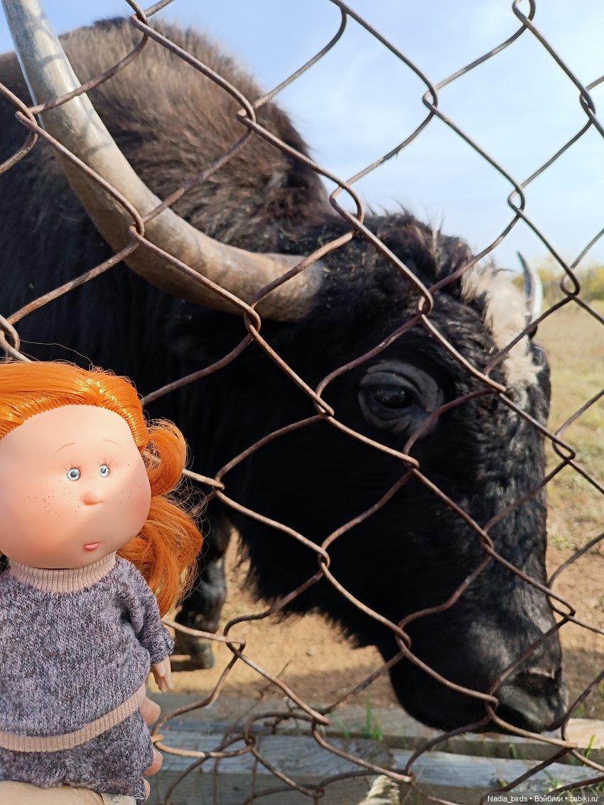 Манюня на оленеферме — Куклы Nines d'Onil (Нинес): Миа (Mia) (фото 7)