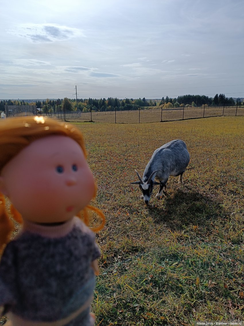 Манюня на оленеферме — Куклы Nines d'Onil (Нинес): Миа (Mia) (фото 2)