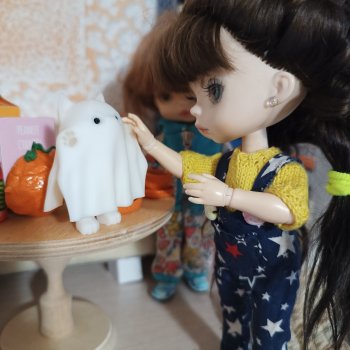 Маленькое котопривидение находит семью