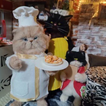 Утиная история в кафе "Кошачья лапка"