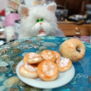 Очень преочень голодный бедняжка!!!