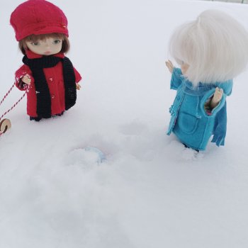 Снежная находка!