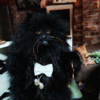 Кафе "Кошачья лапка" СНОВА меняет хозяев!!