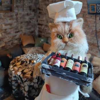 Ещё один мрачный случай в кафе "Кошачья лапка"!