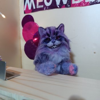 Мяуберриз: первый рабочий день Чешира!