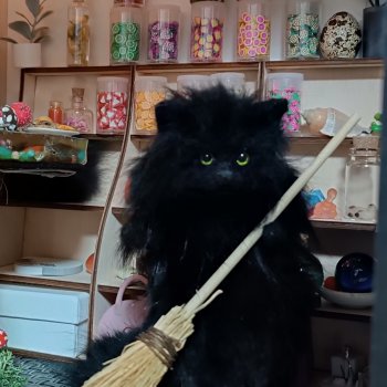 Как Кузьма порядок наводил-)