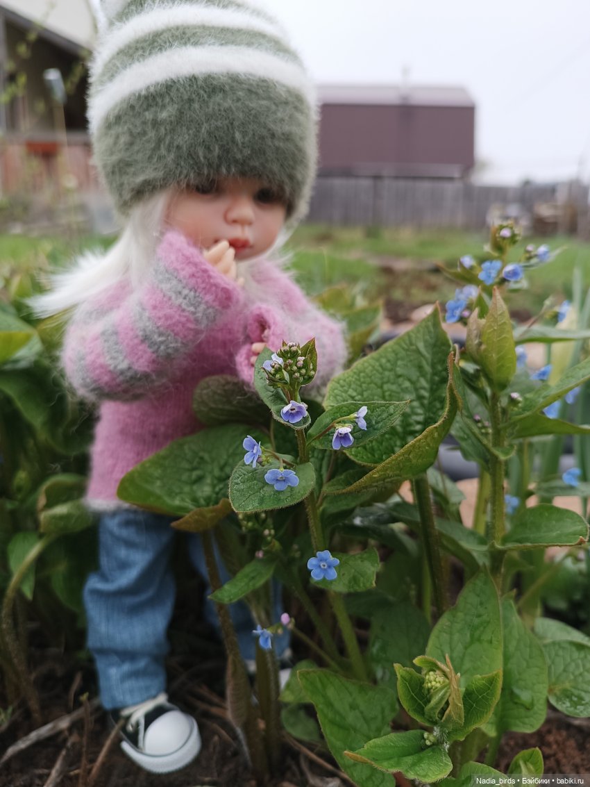 Дачно-субботнее утро с Аришей