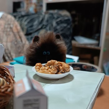 Как мы круассанов напекли