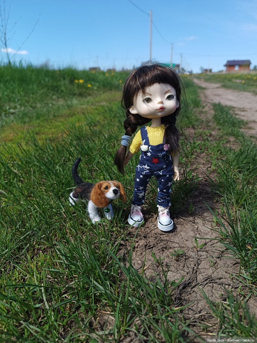 Дачное, или о трудностях житья на два дома