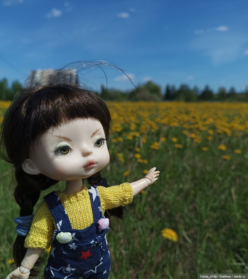 Дачное, или о трудностях житья на два дома