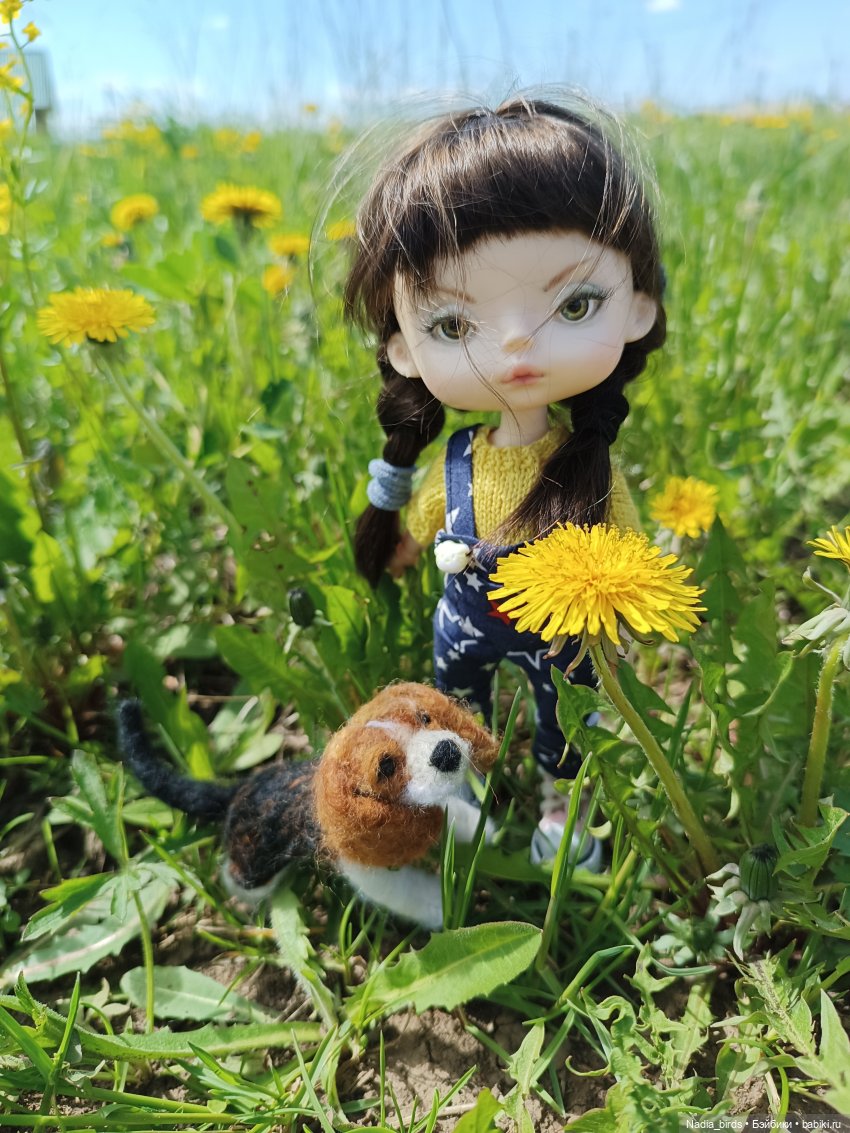 Дачное, или о трудностях житья на два дома