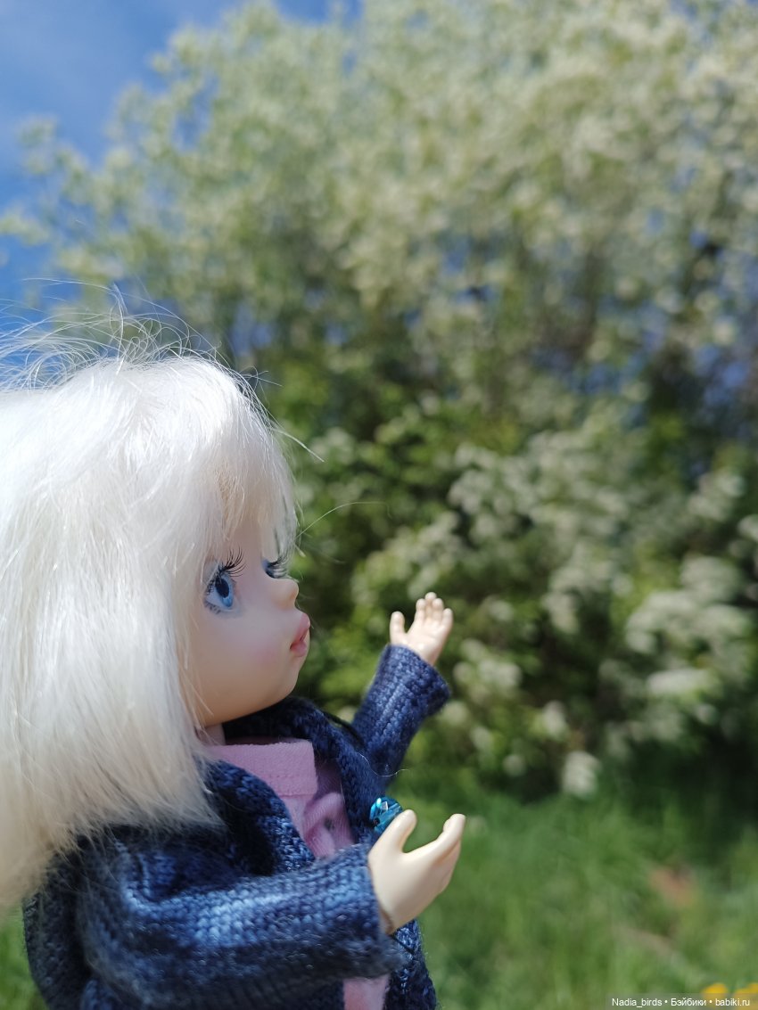 Дачное, или о трудностях житья на два дома