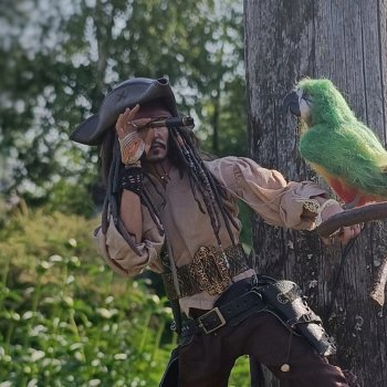 Приключения Капитана: неизвестное место!