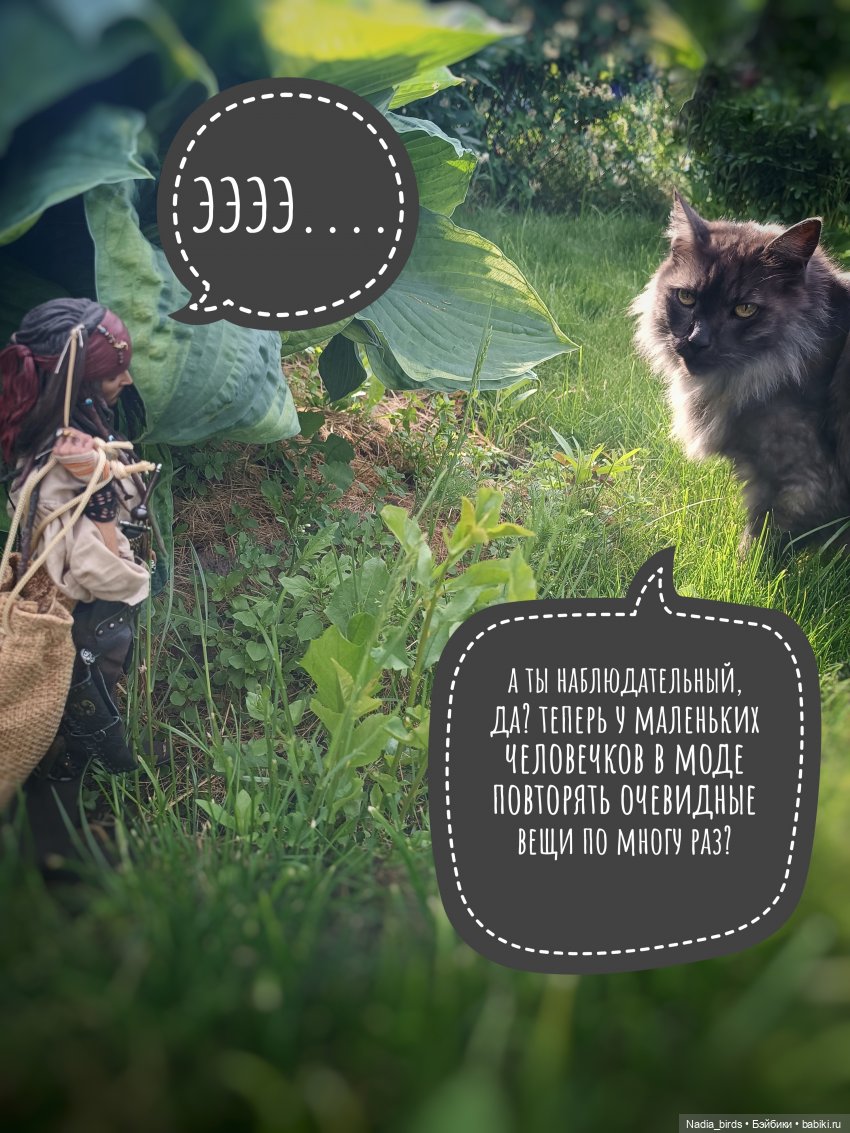 Приключения Капитана: гигантский Кот (фото 9)