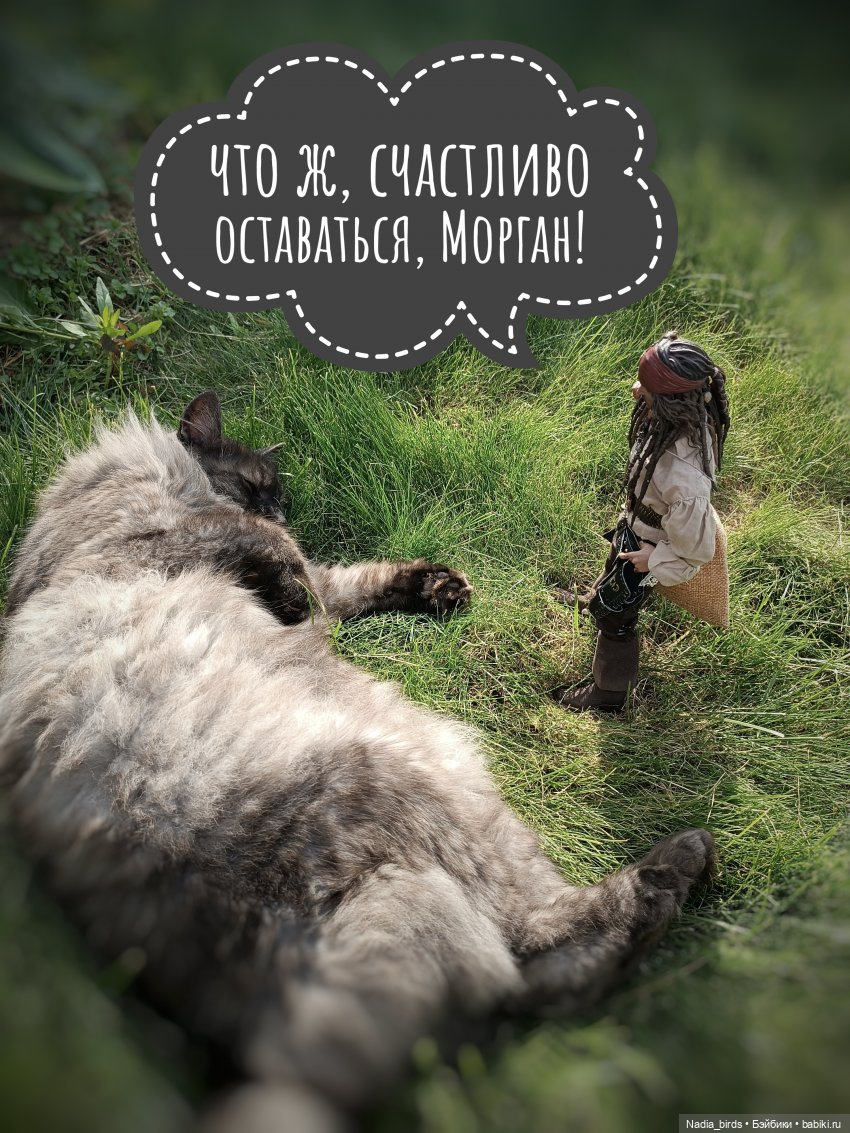 Приключения Капитана: гигантский Кот