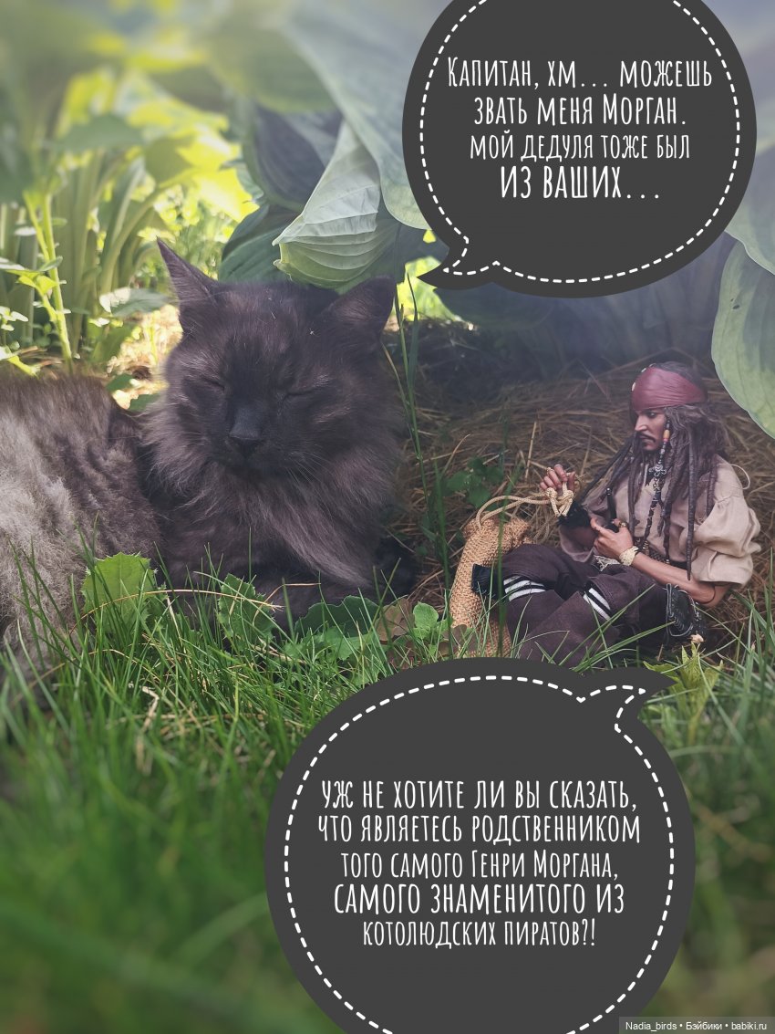 Приключения Капитана: гигантский Кот