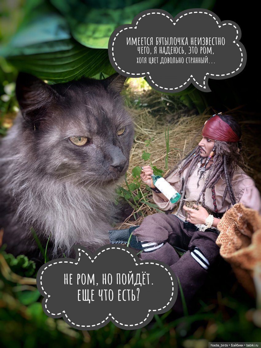 Приключения Капитана: гигантский Кот