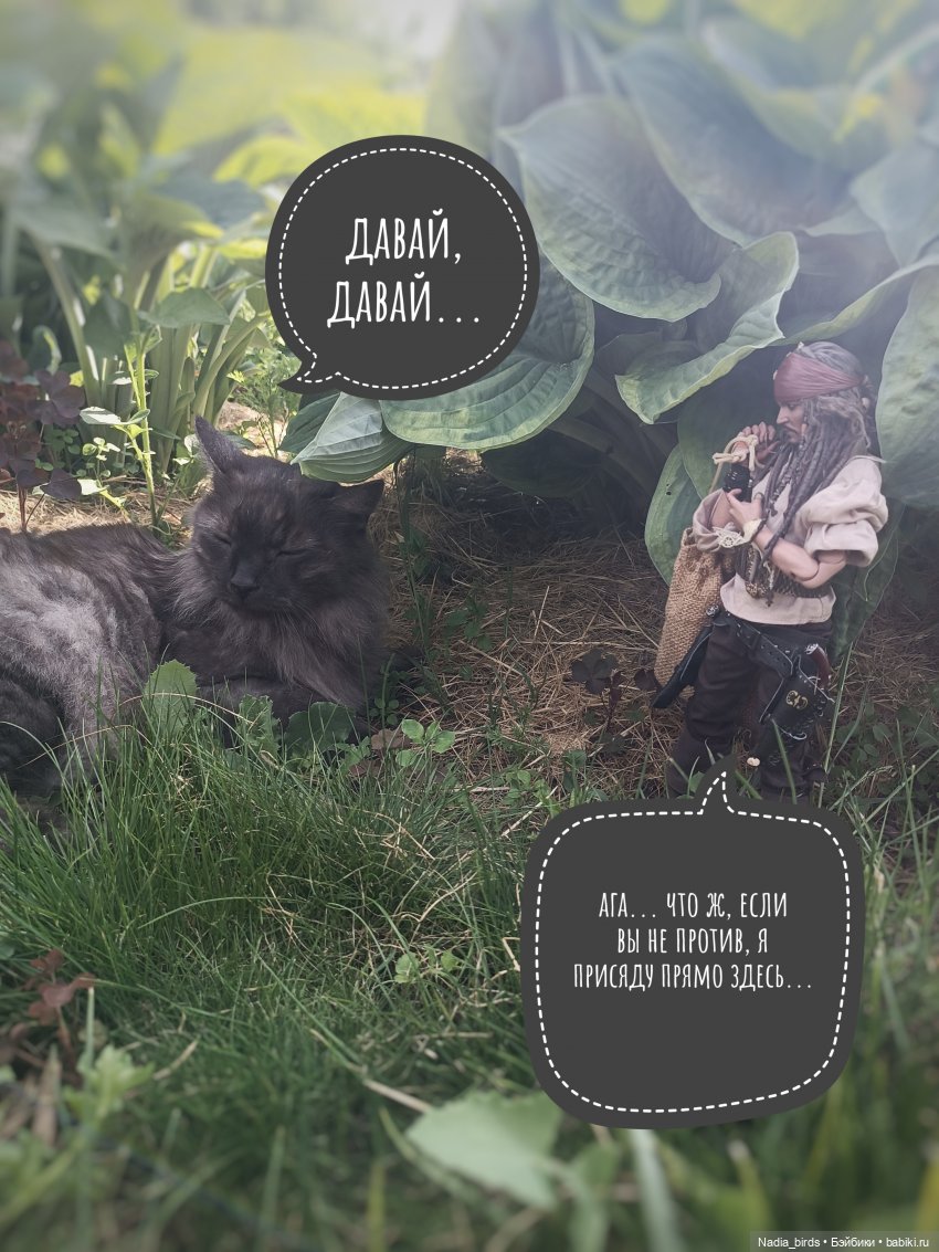 Приключения Капитана: гигантский Кот