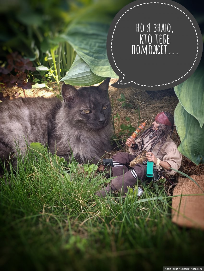 Приключения Капитана: гигантский Кот