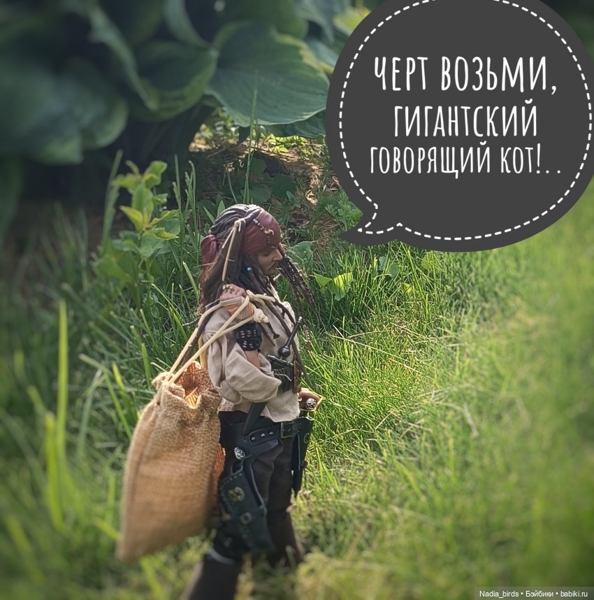 Приключения Капитана: гигантский Кот (фото 8)