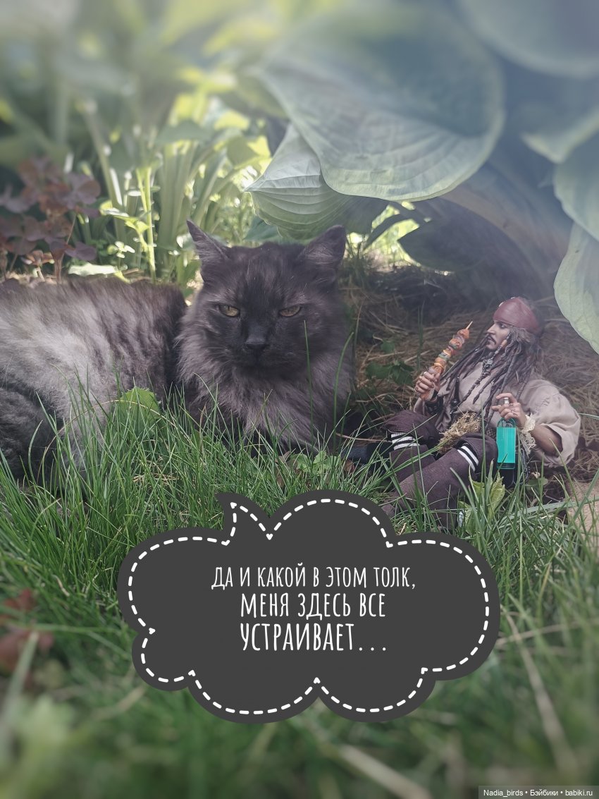 Приключения Капитана: гигантский Кот