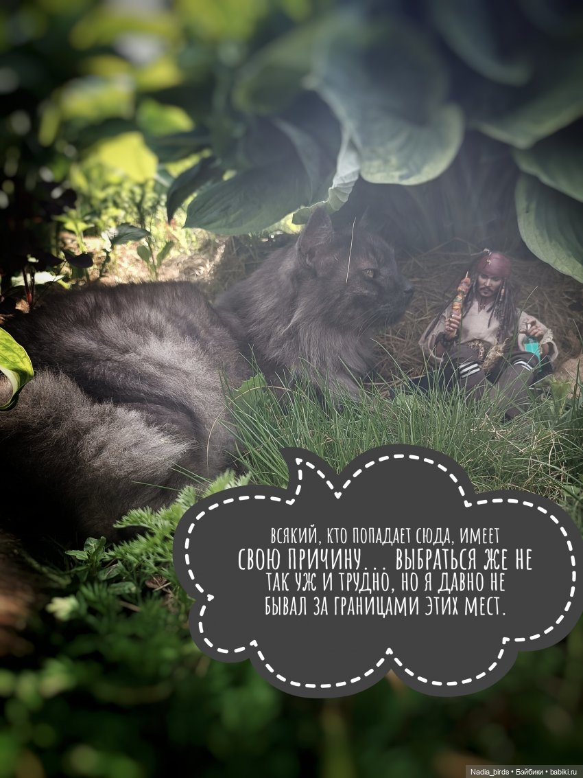 Приключения Капитана: гигантский Кот