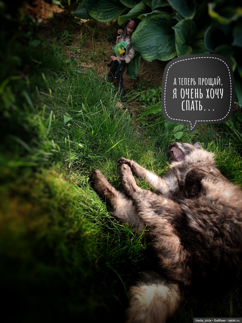 Приключения Капитана: гигантский Кот