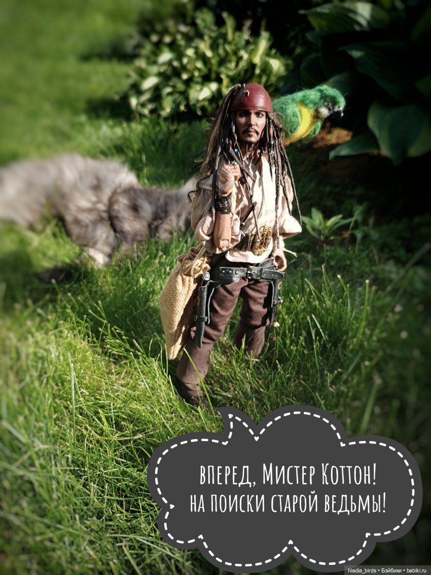 Приключения Капитана: гигантский Кот